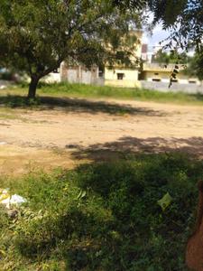 ROYAL RAJPUTANA CO Plot View 2