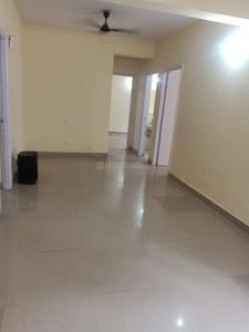 Hall Image of 1200 Sq.ft 3 BHK Apartment / Flat for sale in Sare Royal Greens, Sector 92 Gurgaon for Rs. 11600000