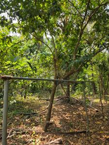 Image of 4655 Sq.ft Residential Plot / Land for sale in Minalur, Thrissur for Rs. 125000
