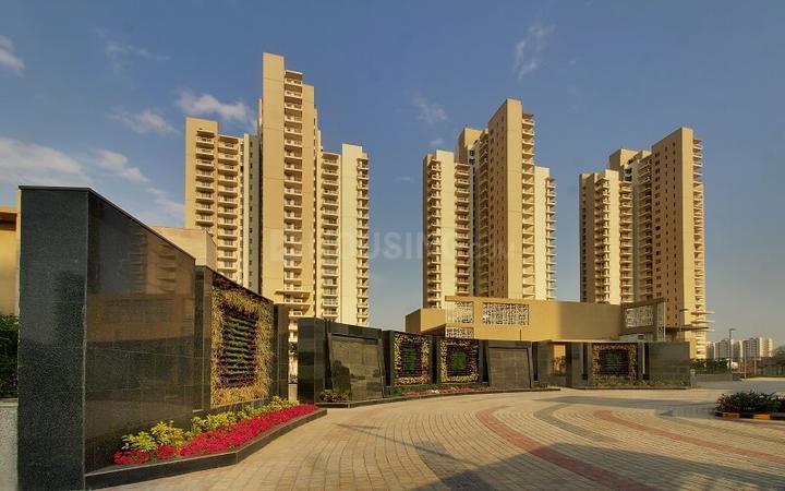 SS The Coralwood Main Image 1