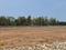 Madanapuram Main Image 1
