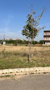 Image of 228 Sq.ft Residential Plot / Land for sale in New Chandigarh, Chandigarh for Rs. 17500000
