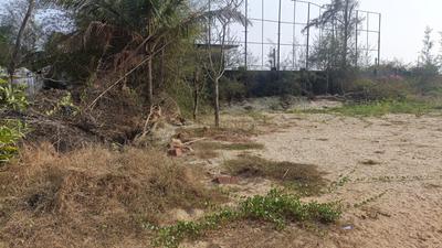 Image of 93108 Sq.ft 4 BHK Farm House for sale in Morjim, Goa for Rs. 1100000000