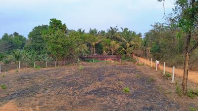 Image of 9000 Sq.ft Residential Plot / Land for sale in Kankavli, Sindhudurg for Rs. 3600000
