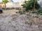 Jhalana Main Image 1