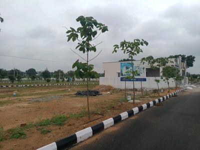 Residential Plot