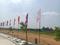 Shadnagar Plot View 2