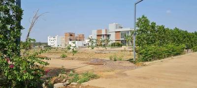 Amlihdih Plot View 3