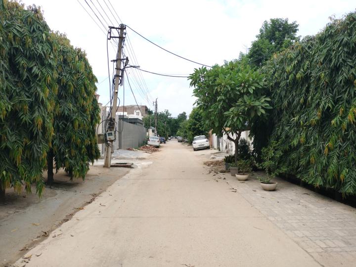 Sector 14 Main Image 1