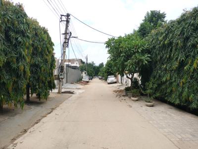 Sector 14 Main Image 1