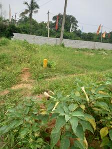 Image of 605 Sq.ft Residential Plot / Land for sale in Mansanpally, Hyderabad for Rs. 7200000