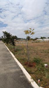 Image of 1381 Sq.ft Residential Plot / Land for sale in Irugur, Coimbatore for Rs. 3329000