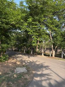 Image of 2200 Sq.ft Residential Plot / Land for sale in Sector 25 YEIDA, Greater Noida for Rs. 15925000