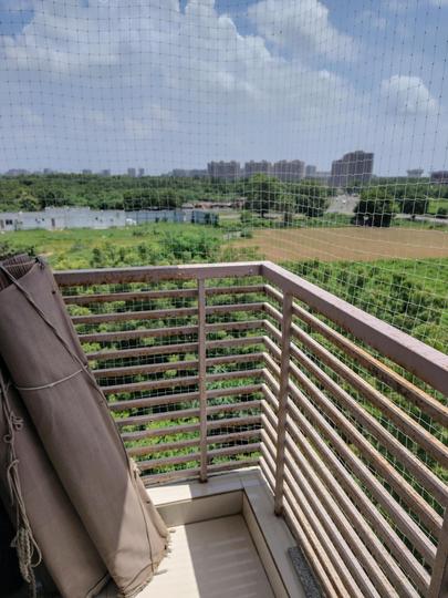 Aaravi 156 Main Image 1