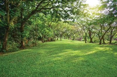 Image of 1113 Sq.ft 3 BHK Apartment / Flat for sale in Espacio, Madanpur, Bhubaneswar for Rs. 9900000