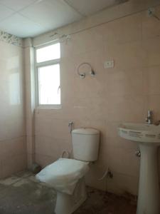 Common Bathroom Image of 1000 Sq.ft 2 BHK Apartment / Flat for sale in Amrapali Verona Heights, Noida Extension Greater Noida for Rs. 7740000