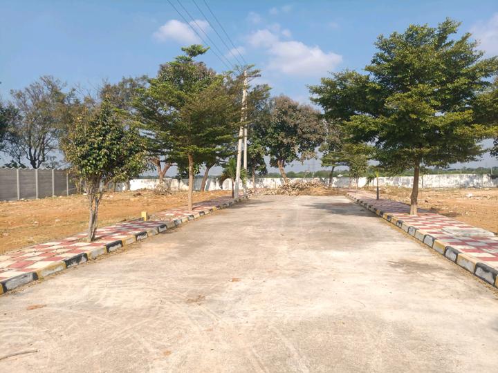 Golden City Main Image 1