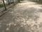 Adani Oyster Greens Internal Roads 2