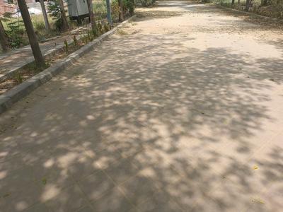Adani Oyster Greens Internal Roads 2