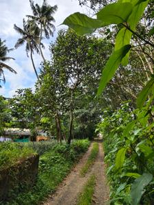 Image of 1214 Sq.ft Residential Plot / Land for sale in Kalamassery, Kochi for Rs. 8000000