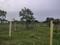 Moolacheri, Ponmar Plot View 2