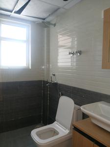 Common Bathroom Image of 1645 Sq.ft 3 BHK Apartment / Flat for sale in ROF Aalayas by ROF Group, Sector 108 Gurgaon for Rs. 19000000