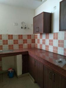 Kitchen Image of 1046 Sq.ft 2 BHK Apartment / Flat for rent in Ansal Courtyard, Modipuram Meerut for Rs. 12000