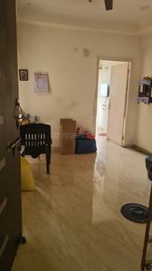 Hall Image of 450 Sq.ft 1 BHK Apartment / Flat for rent in Gaurs 14th Avenue, Noida Extension Greater Noida for Rs. 10000