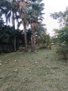 Image of 550 Sq.ft 1 BHK Apartment / Flat for sale in Sarthak Singapore Nest, Lasudia Mori, Indore for Rs. 1500000
