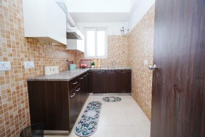 Kitchen Image of 1250 Sq.ft 2 BHK Apartment / Flat for sale in Umang Winter Hills, Sector 77 Gurgaon for Rs. 14200000