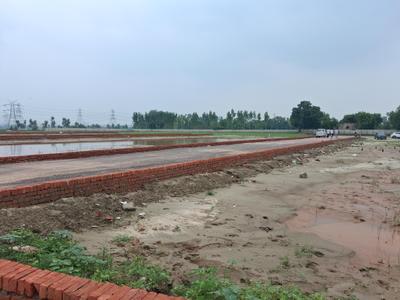 The Royal Greens Plot View 3