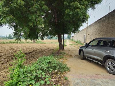 Image of 8000 Sq.ft Residential Plot / Land for sale in Runkata, Agra for Rs. 320000000