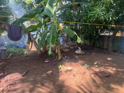Image of 1000 Sq.ft 2 BHK Independent House for sale in Kannadi-II, Palakkad for Rs. 3300000