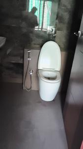 Image of 1250 Sq.ft 2 BHK Apartment / Flat for rent in Paradise Sai World City, Panvel, Navi Mumbai for Rs. 32000