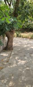 Shree Ram Plot View 1
