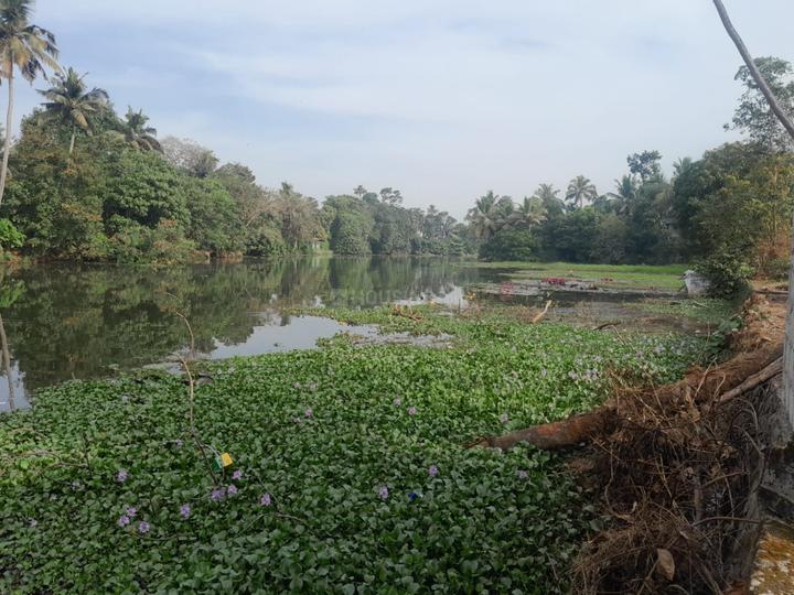 Moolavattom Main Image 1