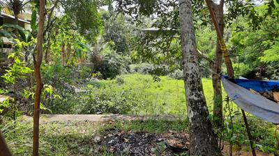 Balcony Image of 344 Sq.ft 2 BHK Independent House for sale in Kumaranalloor Kottayam for Rs. 2000000