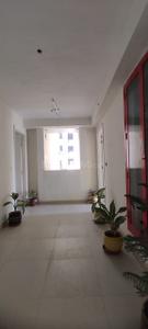 Hall Image of 1720 Sq.ft 3 BHK Apartment / Flat for sale in Vera Prestige Towers, Sector 117 Mohali for Rs. 9150000