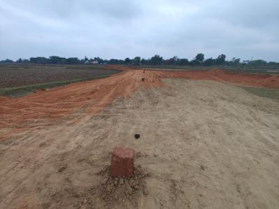 Image of 2000 Sq.ft 3 BHK Farm House for sale in Eshvari Jagannath Vihar, Mendhasala, Bhubaneswar for Rs. 3400000