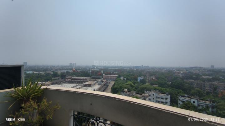 DC Paul Salvani Main Image 1