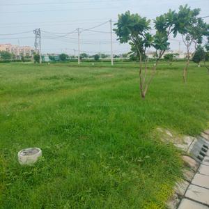 Image of 148 Sq.ft Residential Plot / Land for sale in Alpha Alpha International City, Alpha International City, Karnal for Rs. 11000000