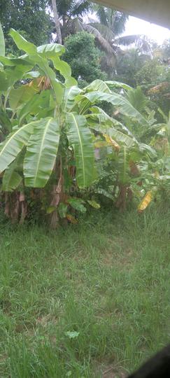 Panangad Main Image 1