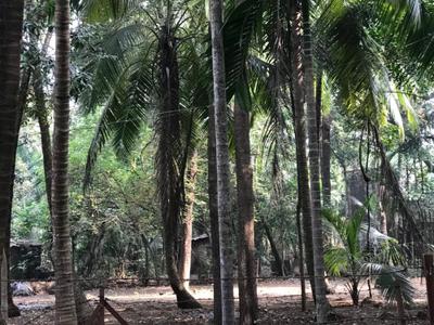Image of 40000 Sq.ft Residential Plot / Land for sale in Bagmala, Alibag for Rs. 40000000