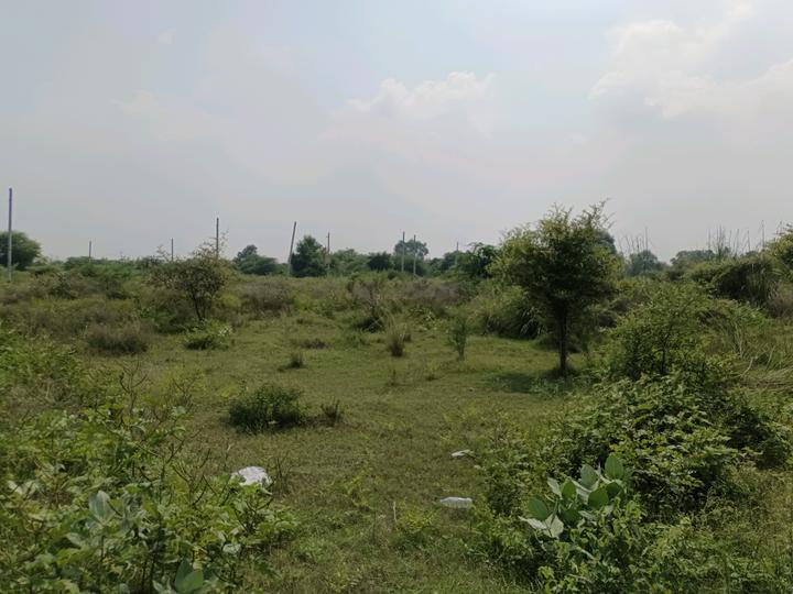 Sector 34 Rohini Main Image 1