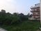Selakui Plot View 2