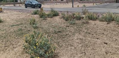 Image of 1000 Sq.ft Residential Plot / Land for sale in Nandara Kalan, Jodhpur for Rs. 1400000