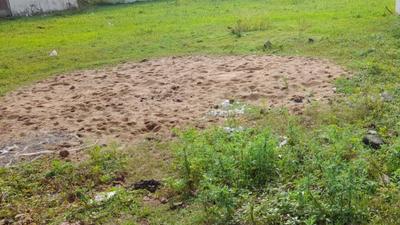 Sendri Plot View 2