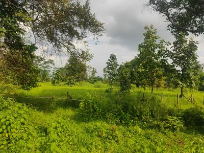 Image of 21780 Sq.ft Residential Plot / Land for sale in Murbad, Thane for Rs. 2600000