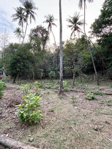Image of 500 Sq.ft Residential Plot / Land for sale in Loutolim, Goa for Rs. 11000000