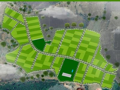 Sage Golden Spring Plot View 2